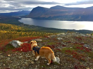 07S6drWcRFSClLdXesAxJw_thumb_250